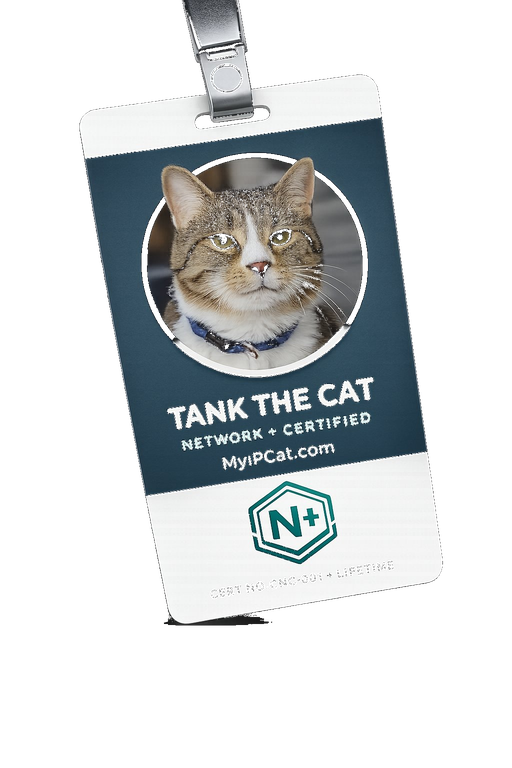 Tank the Cat — Network+ Certified ID badge — Cert No. CNC-001 Lifetime